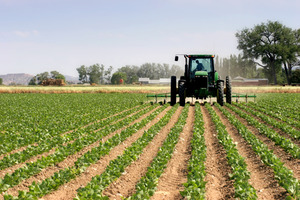 IMU agricola: il Governo contro gli agricoltori italiani