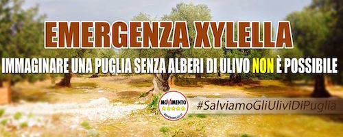 #SalviamoGliUliviDiPuglia – immaginare la Puglia senza ulivi non è possibile