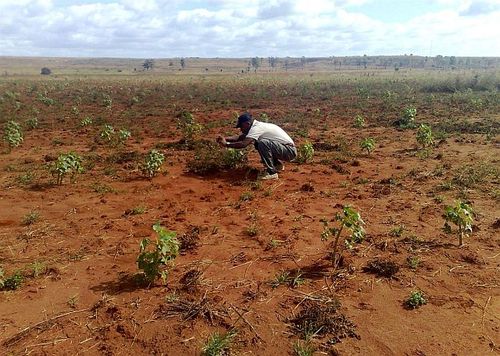 Desertificazione, M5S: “Dal governo solo parole e zero azioni”