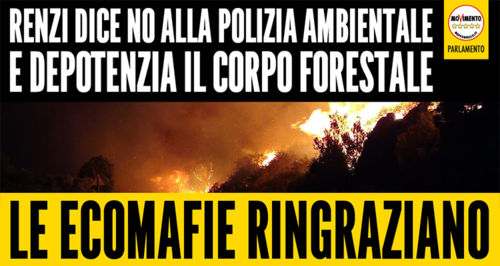 smantellamento_corpo_forestaleportale2portale.png