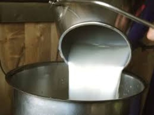 Latte, M5S: “Vertice Mipaaf produca un prezzo equo per allevatori”