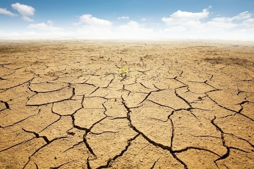 Clima, M5S: “Governo promuova agricoltura ‘assorbi-emissioni’