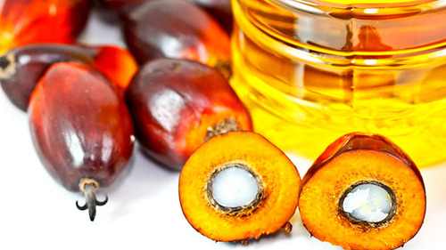 Stop olio di palma per tutelare salute, ambiente, economie locali