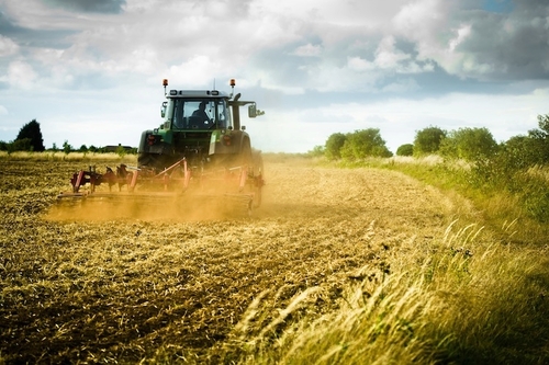 Agricoltura, “PD sblocchi riforma Agea invece di chiederla in Aula”