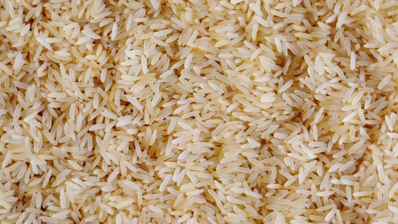 Agroalimentare: Reintroduzione dazi riso da Cambogia e Myanmar è vittoria del MoVimento