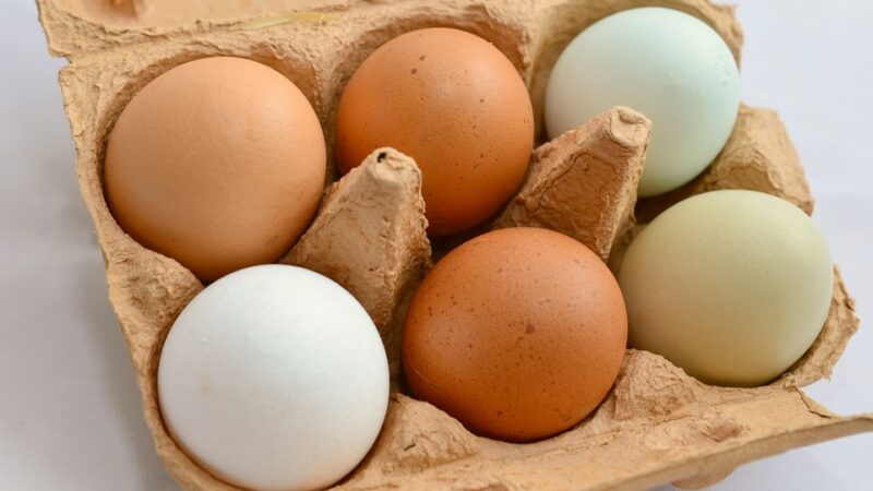 Agroalimentare: Ok a risoluzione timbratura uova, controlli stringenti e trasparenza per consumatori e imprese