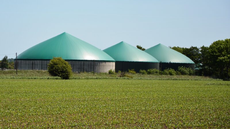 Agricoltura: Promozione biogas agricolo è importante sfida per sostenibilità ambientale
