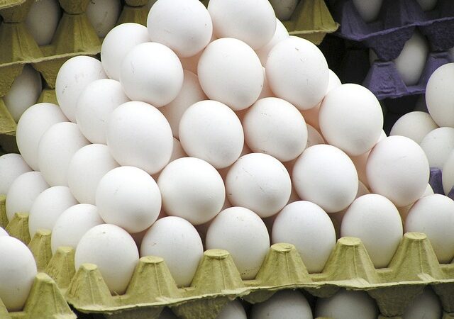 Agroalimentare: Presto decreto per affrontare problema mancanza tracciabilità uova
