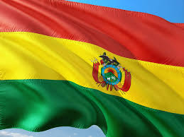 Bolivia: Condanniamo repressione e violenze. Sosteniamo dialogo per elezioni democratiche